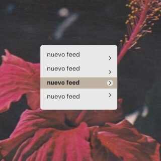 Porque un buen feed solo, no reemplaza una idea, pero puede ayudar muchísimo a que se entienda.